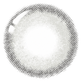 Lenstown 梨芝瞳 Cookiean2 Charcoal Gray 月拋(1片)